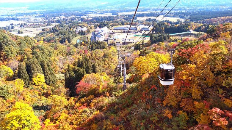 紅葉ゴンドラプラン ロッテアライリゾート